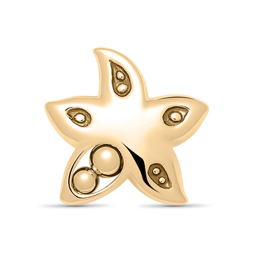 14k Gold Starfish Peapod Necklace