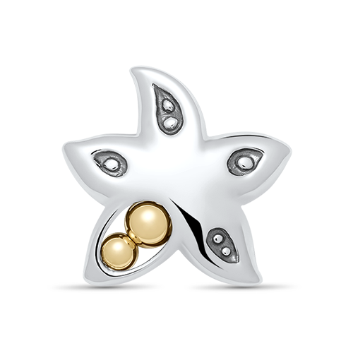 Sterling Silver Starfish Peapod Necklace on a Sterling Silver Box Chain Necklace