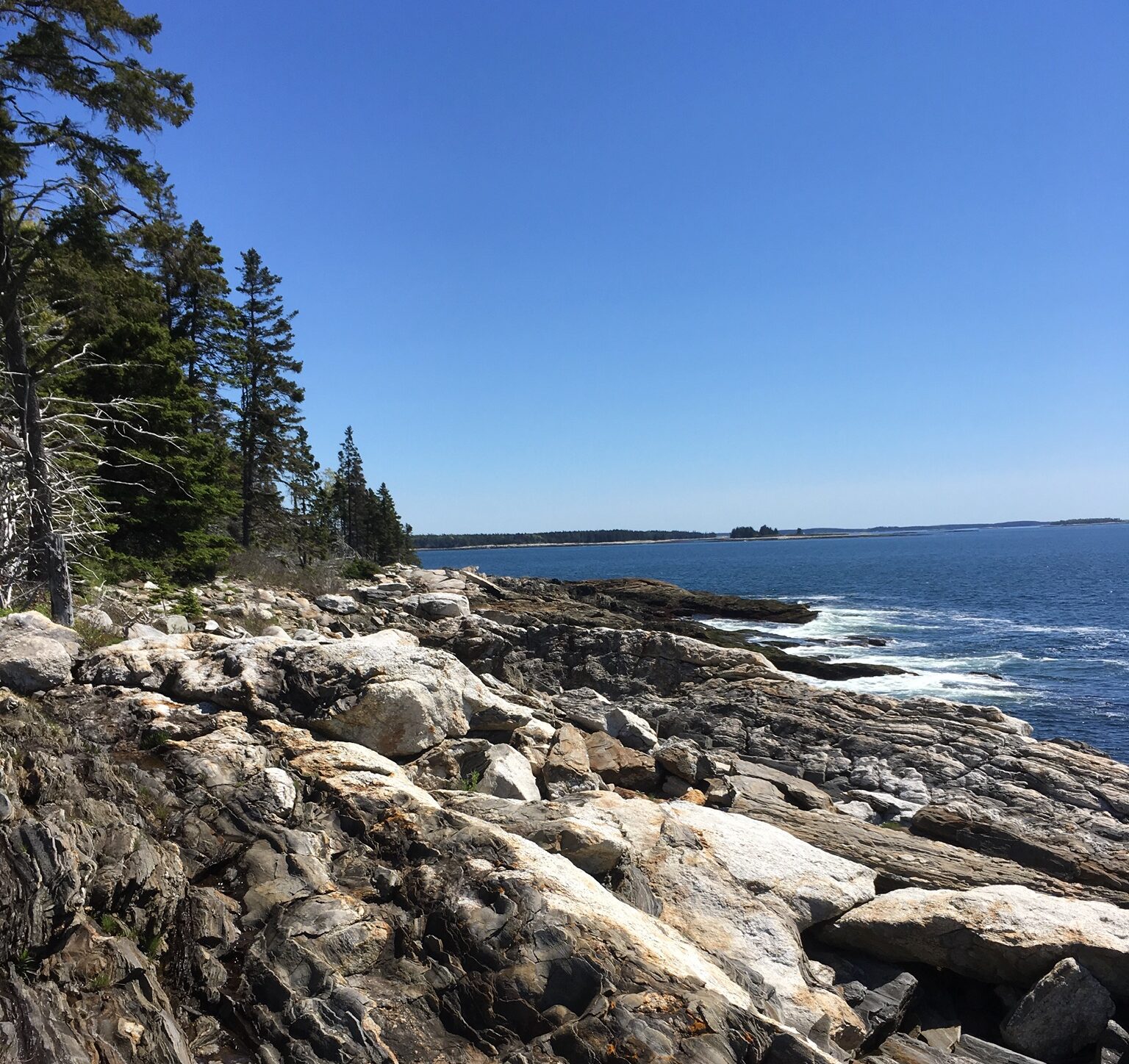 Coastal Maine Jewelry